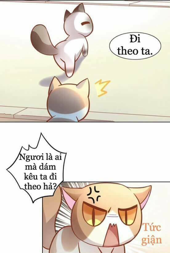 dưới móng vuốt mèo chapter 8 14