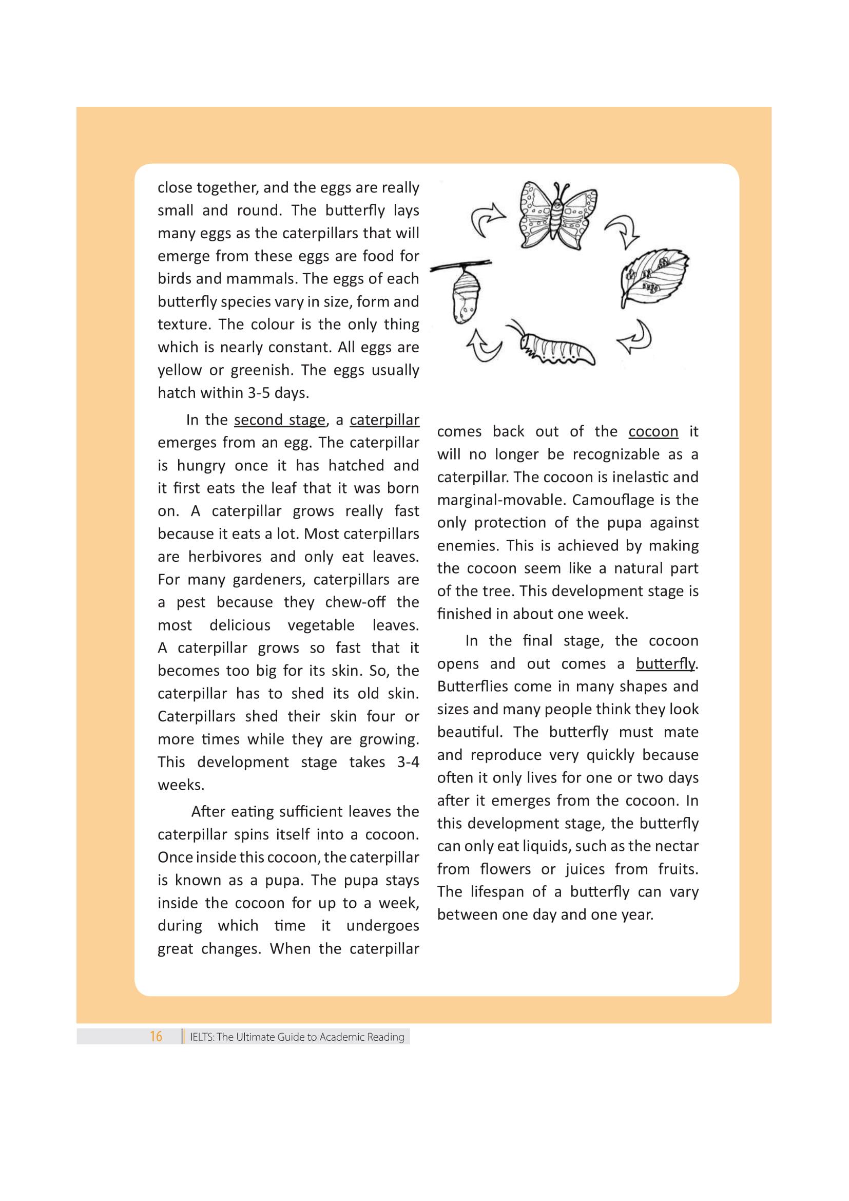 The Ultimate Guide To Academic Reading (Bộ Sách Ielts Mike)