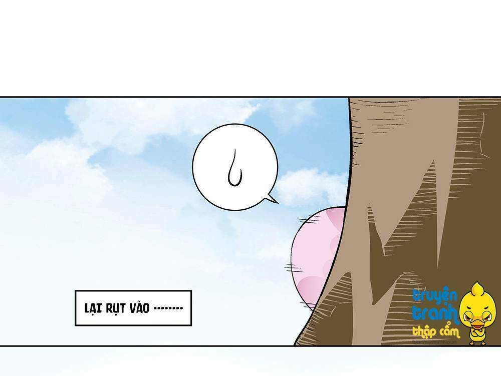 cường sủng hào môn tiểu manh thê chapter 3 13