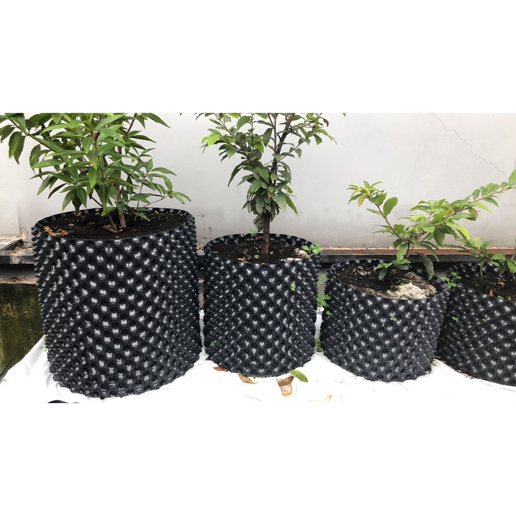 5M Bầu Ươm Cây V6 Tặng kèm bộ vít 50cm Ươm Rễ Vườn Cây Ropot Thông Minh
