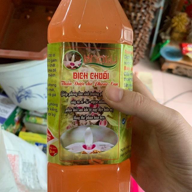 CHẾ PHẨM DỊCH CHUỐI NGUYỄN QUỐC TƯ , CHUYÊN DÀNH CHO LAN, HOA HỒNG , GIÚP CÂY PHÁT TRIỂN NHANH
