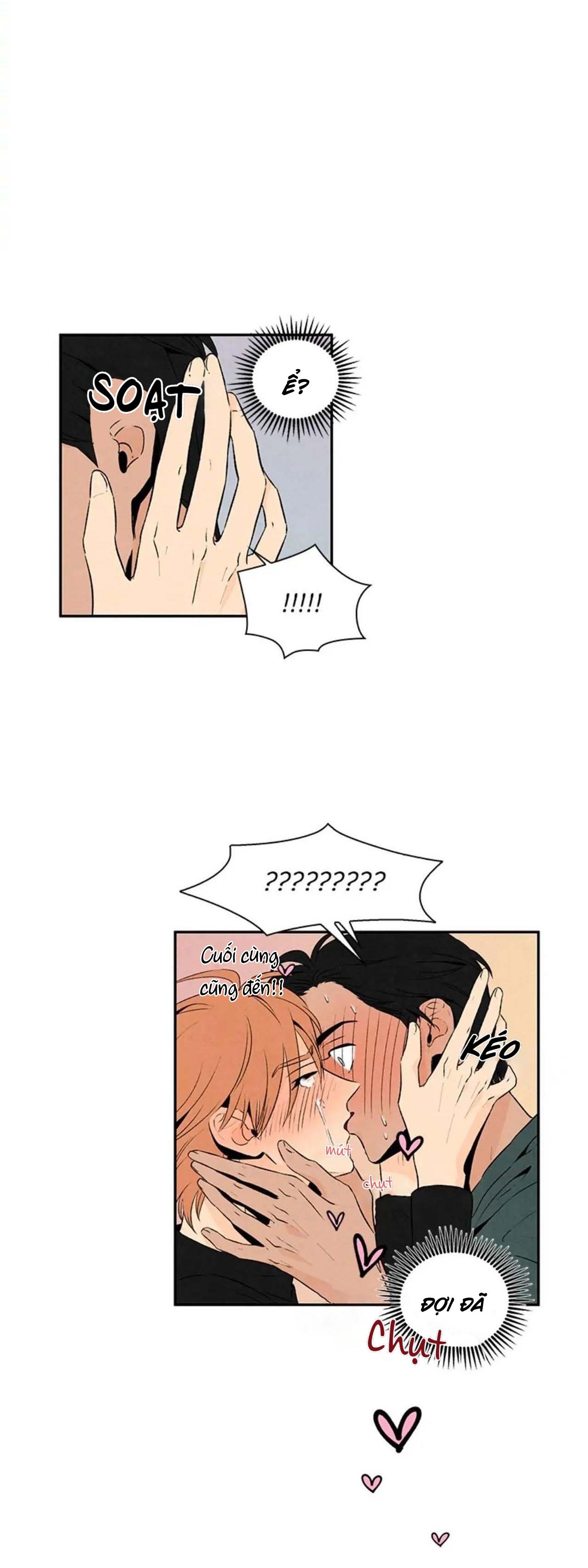 bona sort chapter 19 17