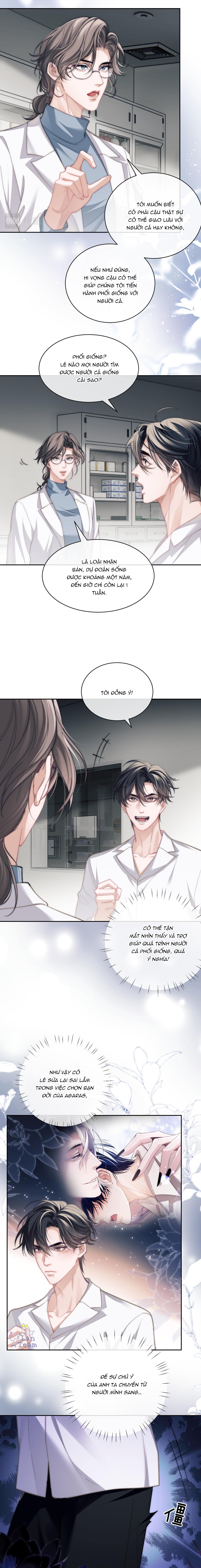 người cá desahrow chapter 11 9