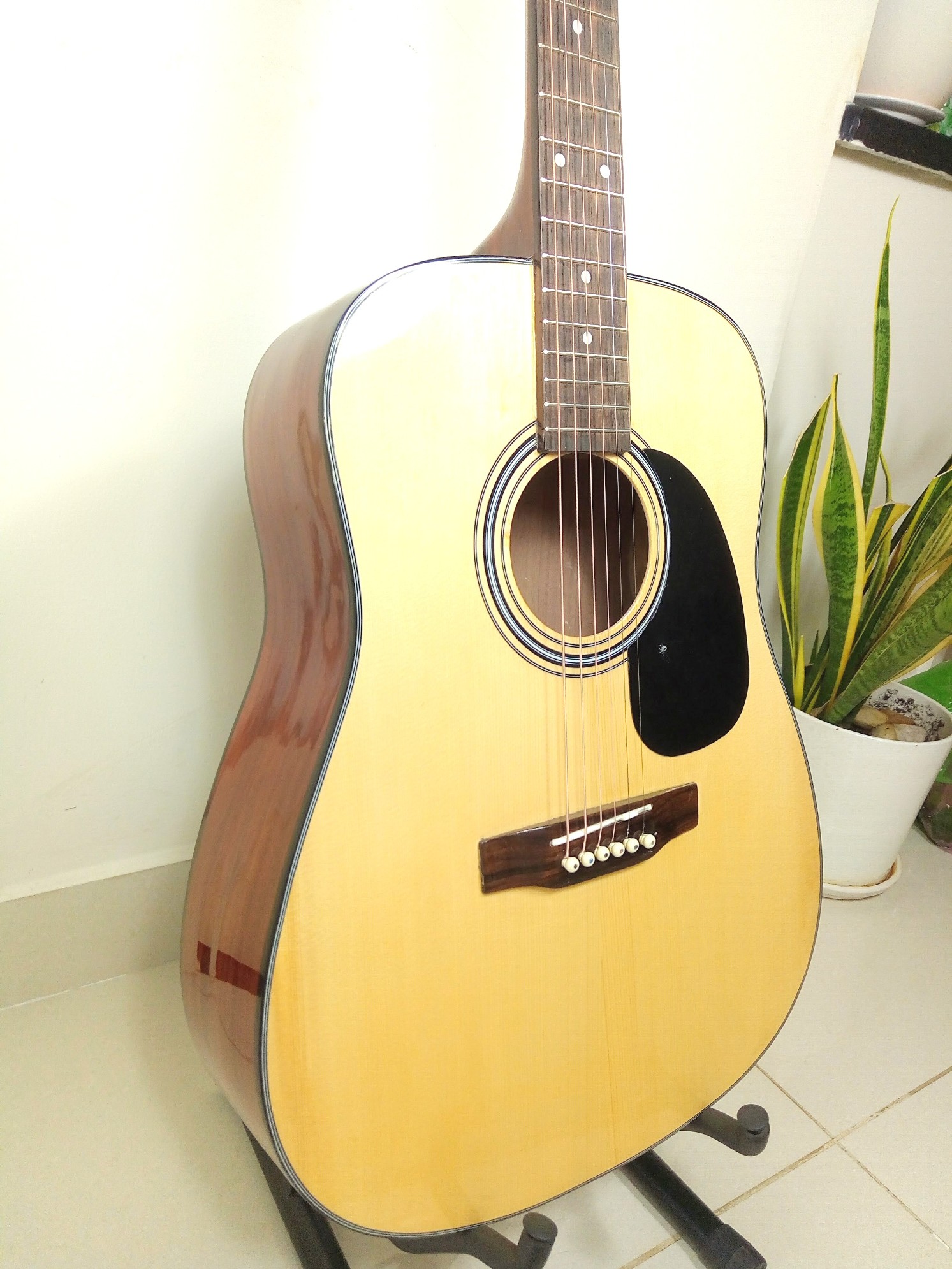 Đàn Guitar Acoustic Natural DD120