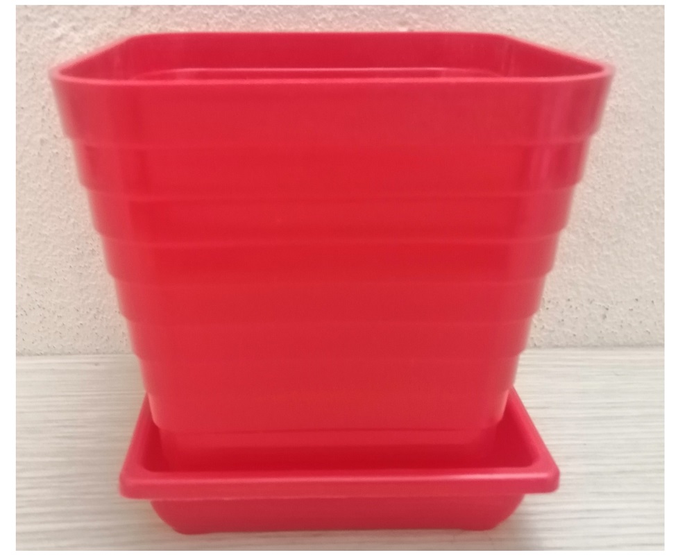 ComBo 5 Chậu Nhựa Trồng Cây Mini Có Đế Đỡ Kích Thước 12x12x12Cm