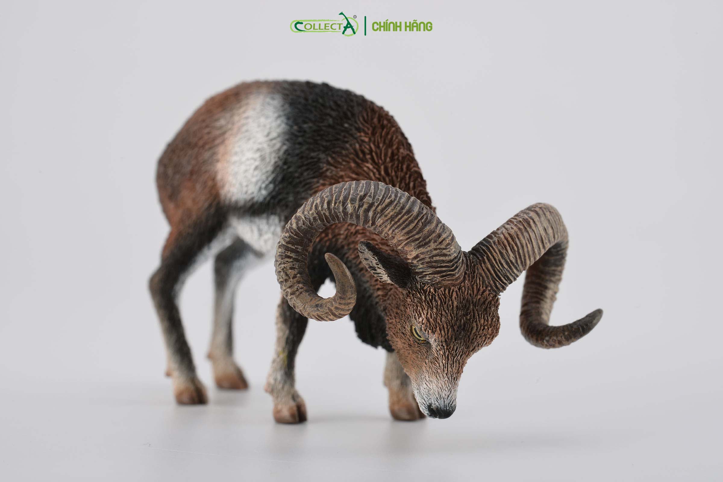 Mô hình thu nhỏ: Cừu Núi - European Mouflon, hiệu: CollectA, mã HS 9651360[88682] -  Chất liệu an toàn cho trẻ - Hàng chính hãng