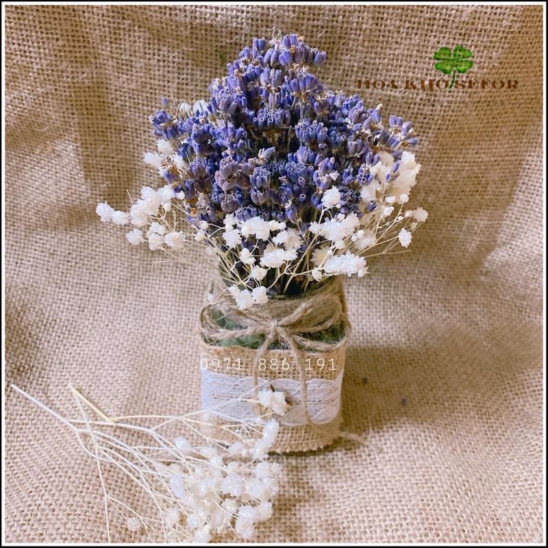 Hoa khô Lavender ️Lọ hoa Lavender để bàn, làm quà tặng