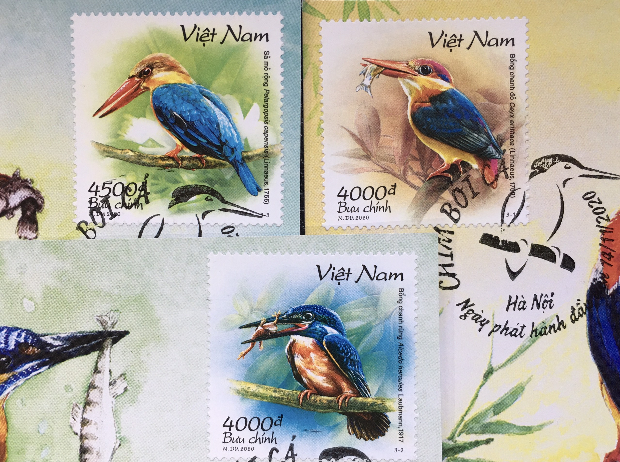 Bộ Tem Sưu Tầm Việt Nam Chủ Đề Chim Bói Cá - Set 3 Postcard Stamp