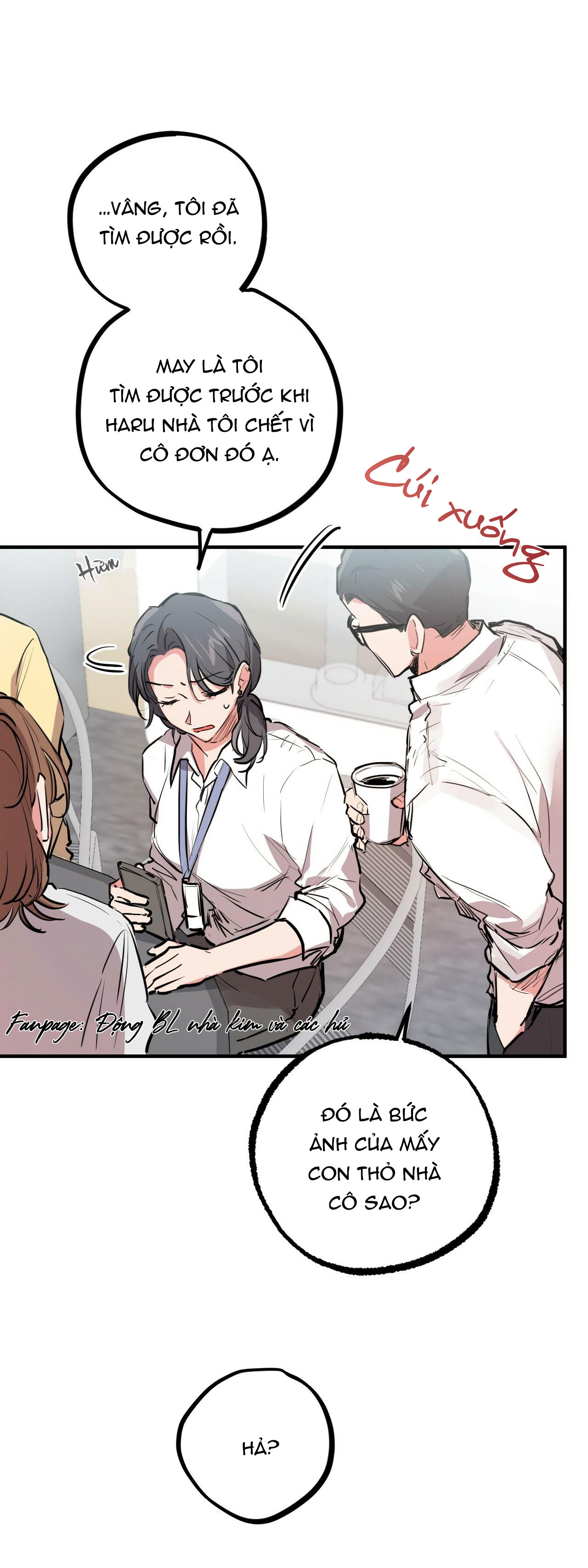 những chú thỏ của hapypy chapter 28 17