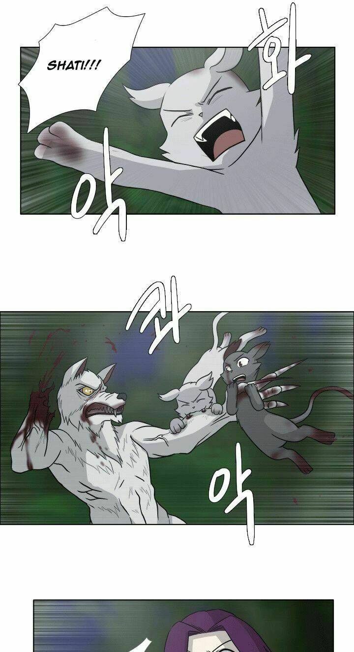 m. m. g. chapter 12 17