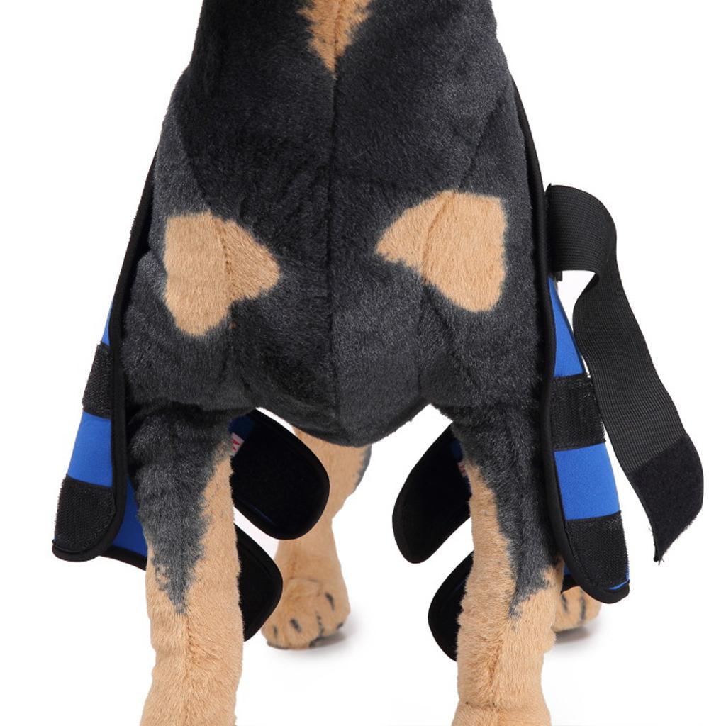 Dog Leg Brace Knee Leg Joint Protector Support Prevents Injuries and Sprains
