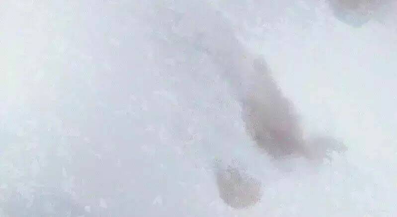 thiên hương mỹ nhân chapter 1 6