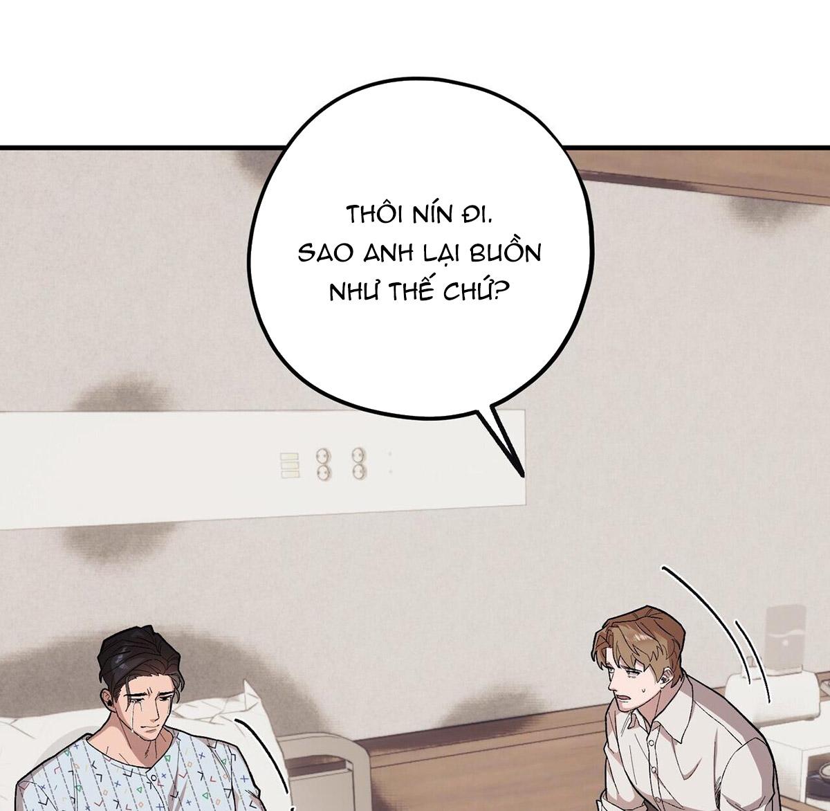 chàng dâu nhà họ kang chapter 56 12