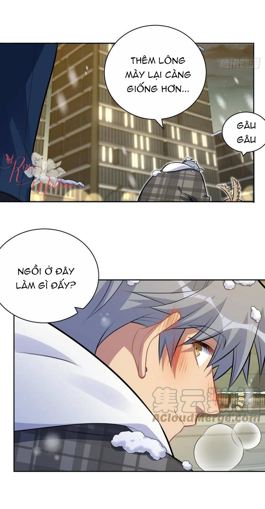 nhạc phụ đại nhân là lão bà chapter 175 21