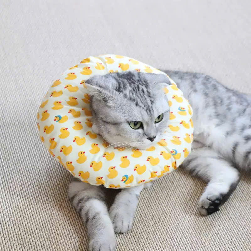 VÒNG CỔ THÚ CƯNG VÒNG CỔ LOA CHỐNG LIẾM CHO THÚ CƯNG TỪ 0.1-8KG DÀNH CHO CHÓ MÈO VÀ THỎ