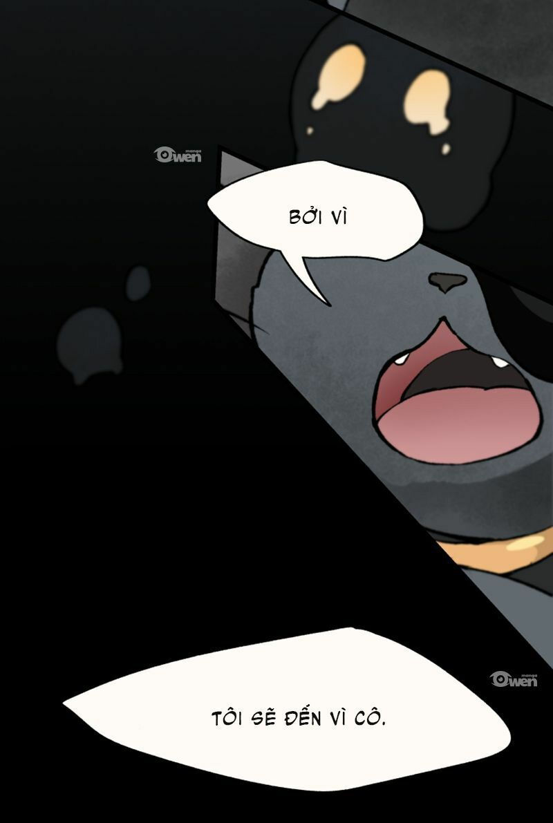 nơi mà ngôi sao băng rơi xuống, hãy đợi ở đó chapter 17 9