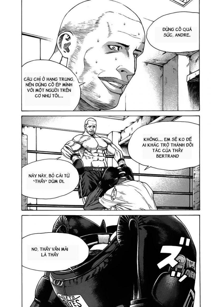 karate shoukoushi kohinata minoru chapter 174 12