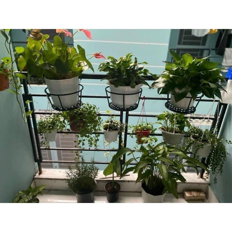 Giỏ Sắt Treo Hoa Ban công Hàng Dày Dặn