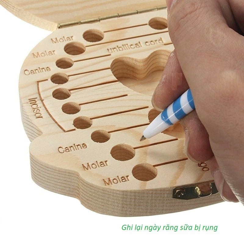 Hộp đựng răng sữa cho bé bằng gỗ để lưu giữ làm kỉ niệm