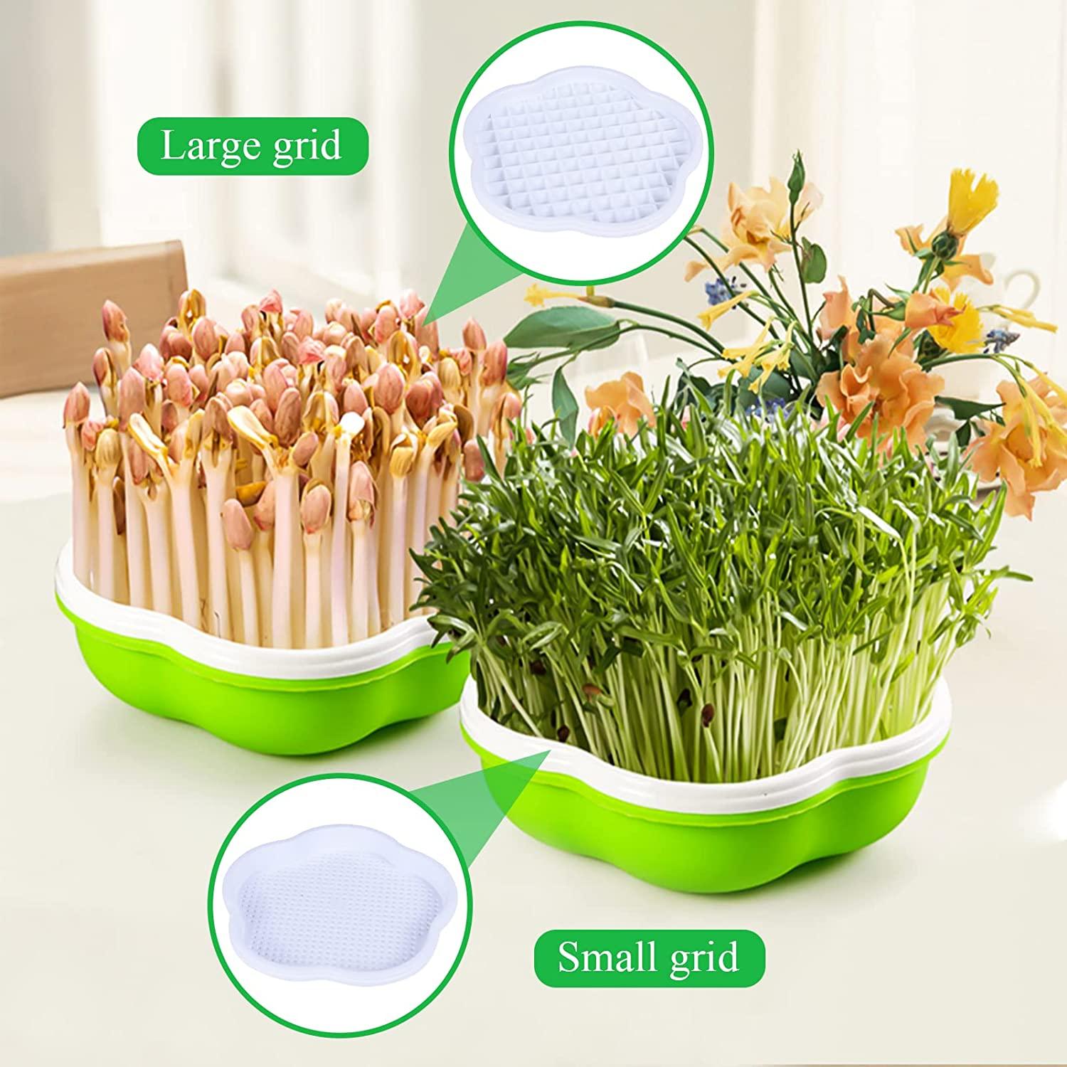 Khay ươm hạt, Bộ 4 khay ươm hạt, khay ươm mầm nhà kính thủy canh, giá thể tự làm để trồng giá đỗ, giá đỗ xanh