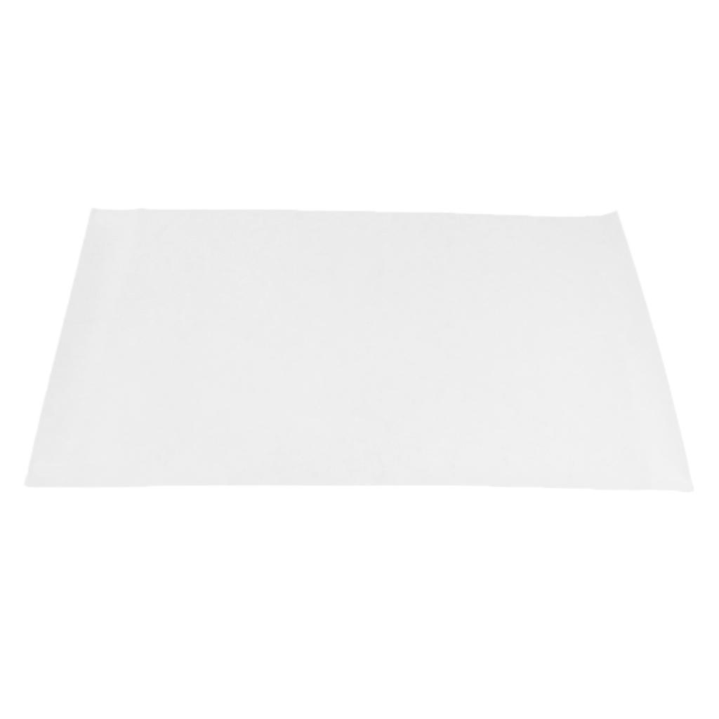5 Pieces Absorbing Sheet Tissue Absorbent Blotting Filter Paper for Specimen