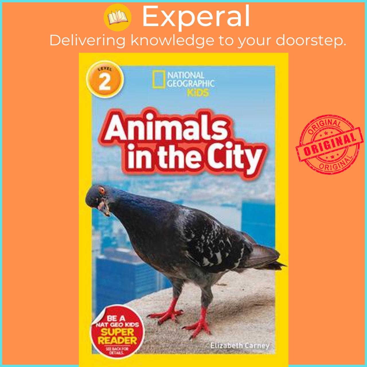 Sách - Animals in the City  by National Geographic Kids