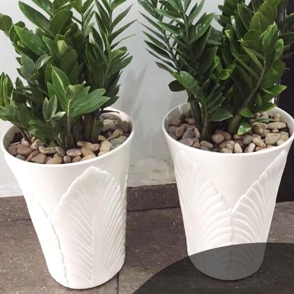 Combo 2 Chậu Nhựa Tròn Cao Hình Chiếc Lá, Chậu Tròn Dáng Cao