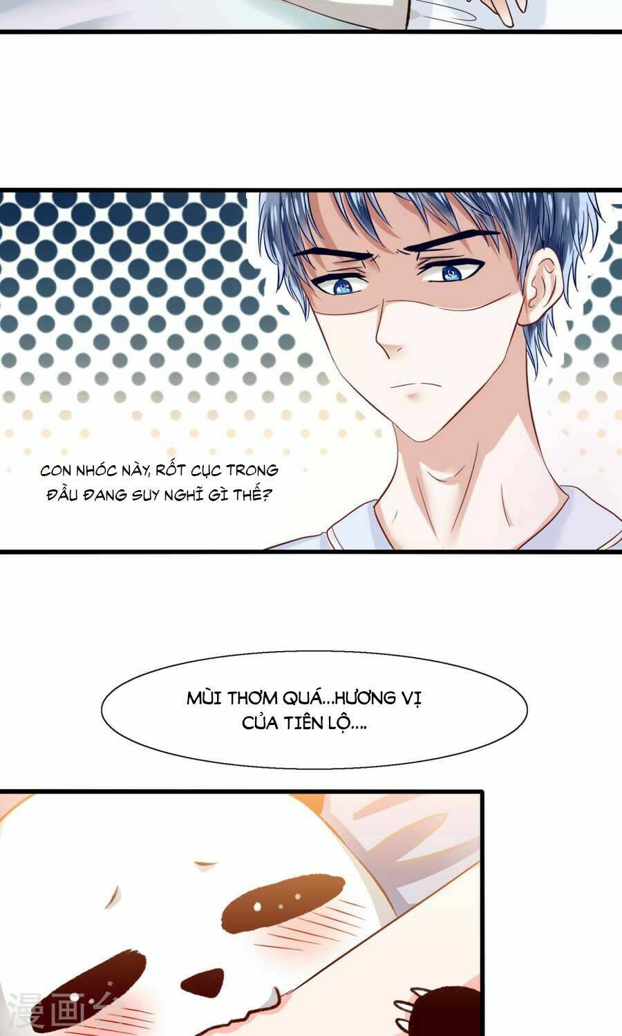 tôi bị gấu trúc nhìn trúng rồi chapter 8 5