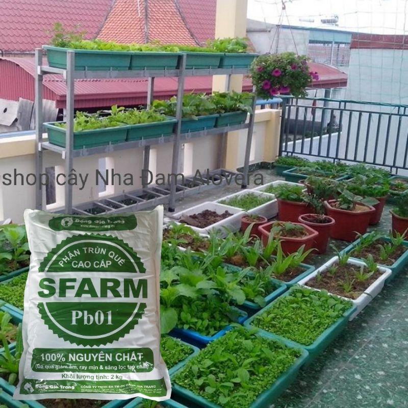 Phân Trùn Quế SFARM Cao Cấp