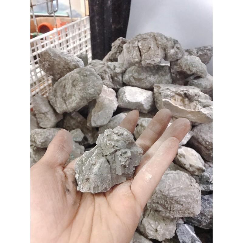 Đá Da Voi & Đá Kẹp Kem Size Mini Cho Bể Thuỷ Sinh
