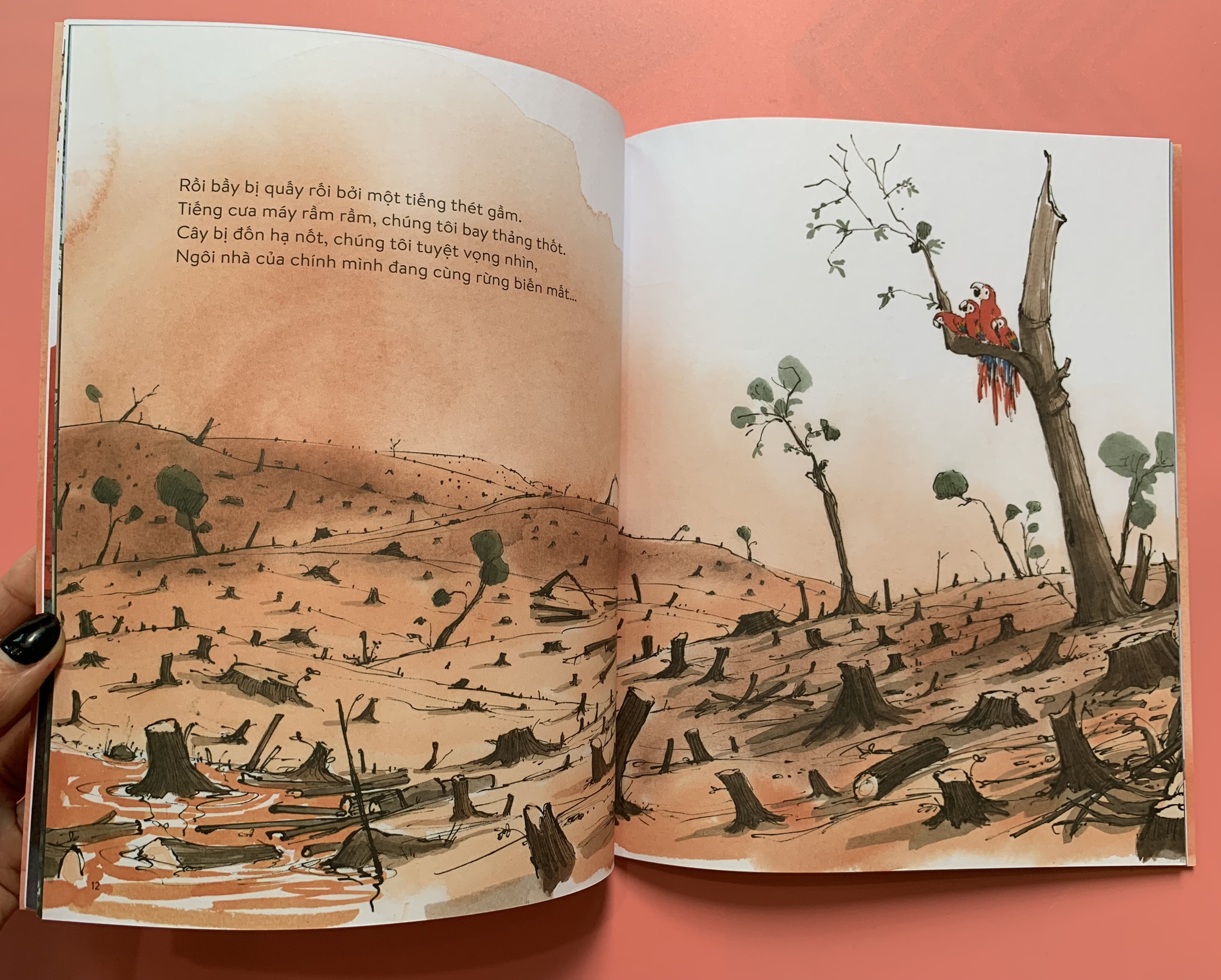 VẸT ĐUÔI DÀI ĐÃ TRÔNG THẤY GÌ – Charlotte Guillain - Sam Usher - Hà Hương Giang dịch