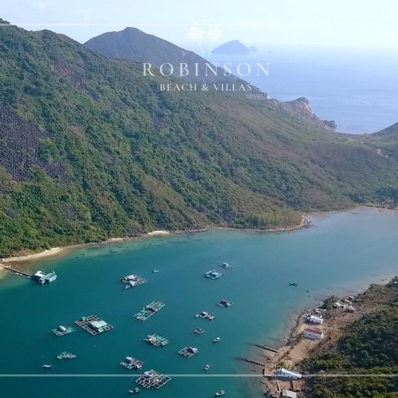 Tour Nha Trang - Ốc Đảo Robison Một Ngày Không Thể Quên . Khởi Hành Hàng Ngày