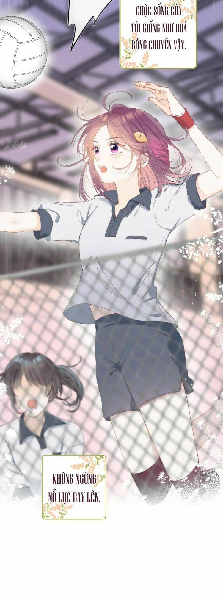 you're the apple of my eyes chapter 4 6