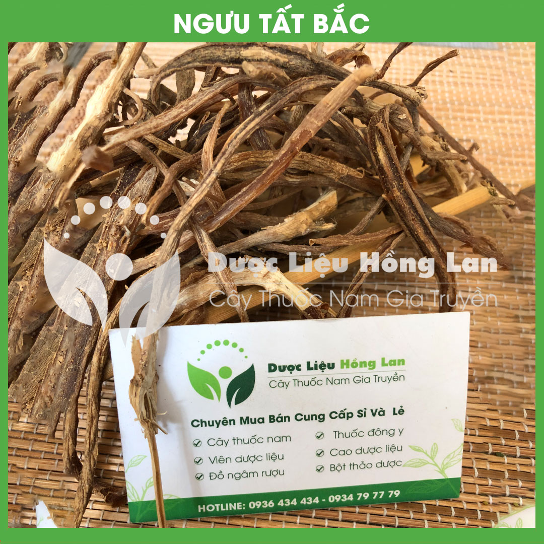 Cây Ngưu Tất Bắc khô gói 1kg