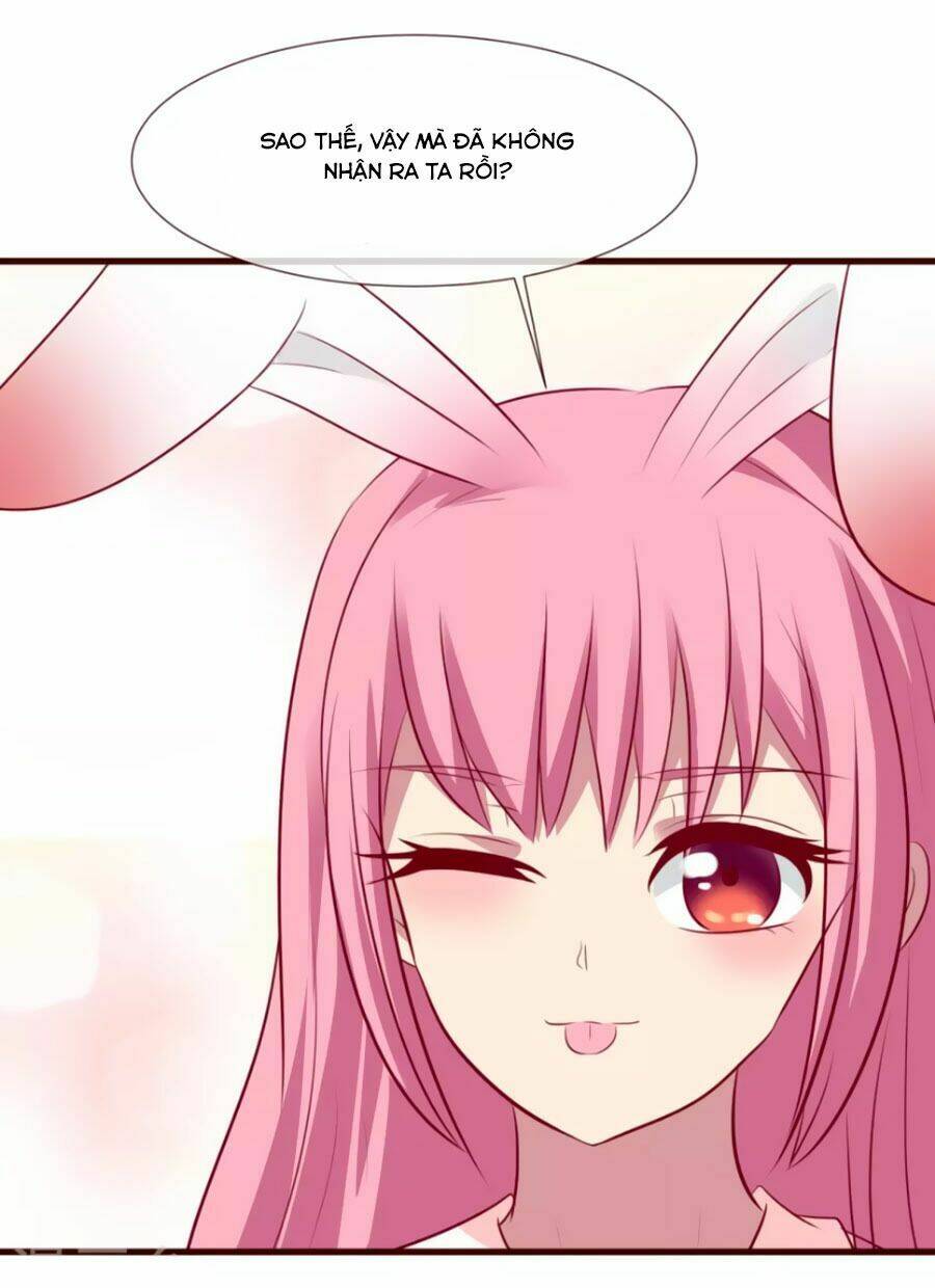 thỏ yêu tiểu vương phi chapter 32 24