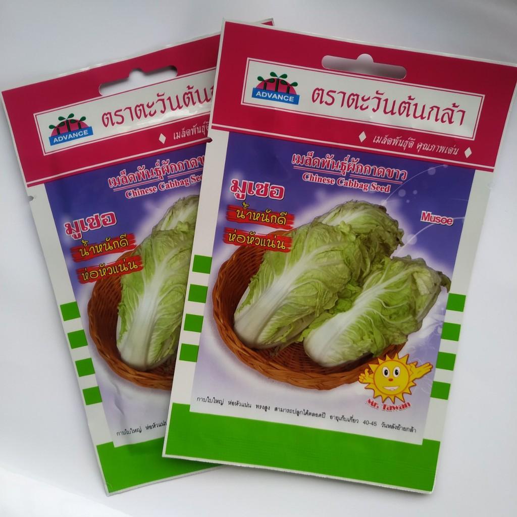 HẠT GIỐNG CẢI THẢO CHỊU NHIỆT