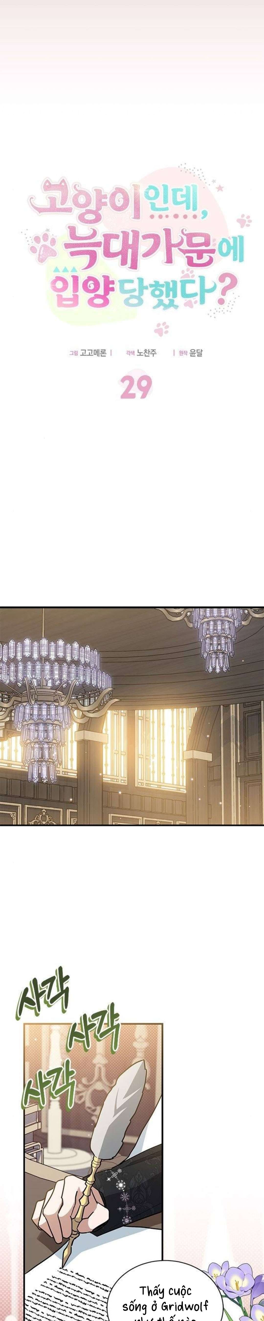 mèo con được gia tộc sói nhận nuôi? chapter 29 4