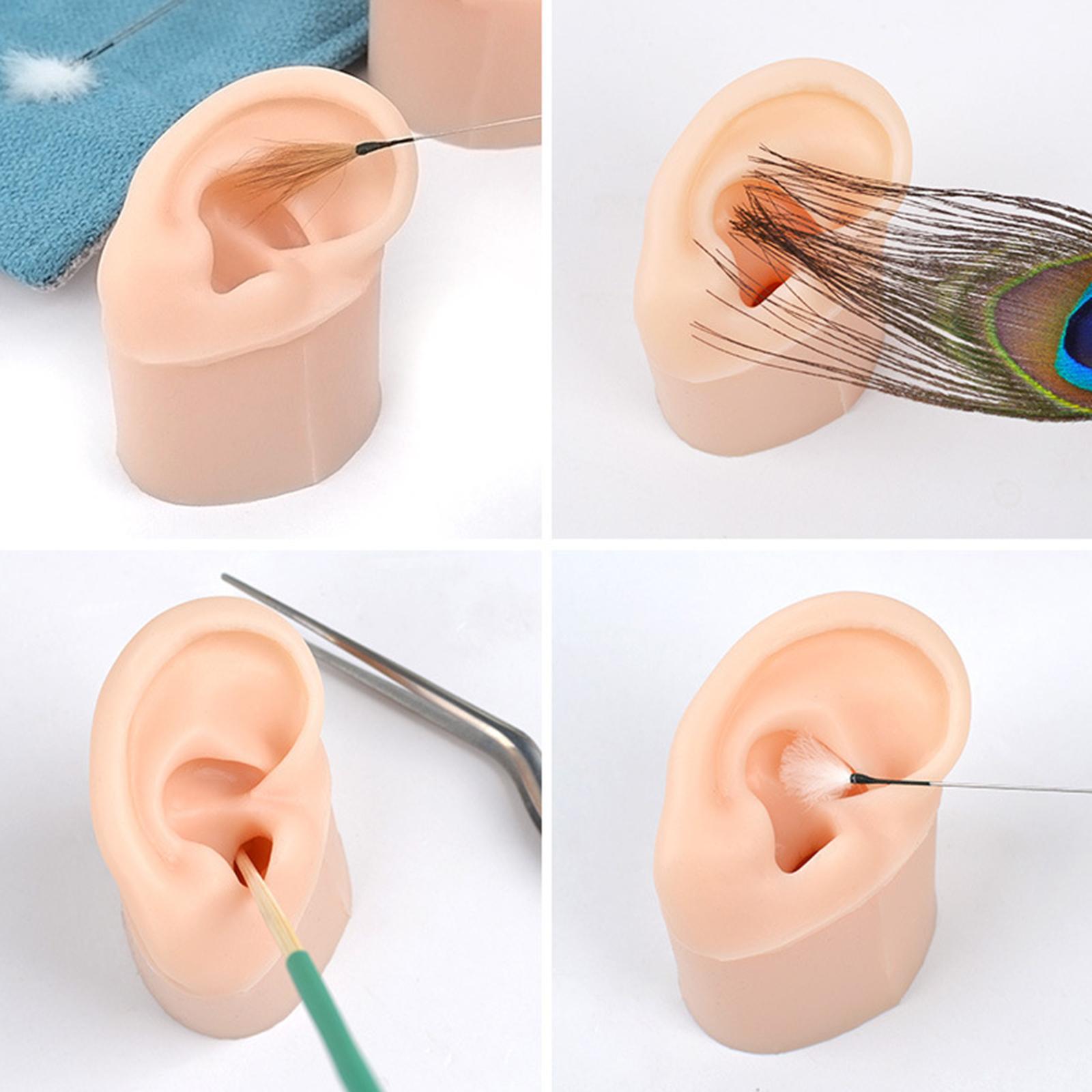1Set Soft Silicone Ear Model with Base Delicate Texture Earrings Display