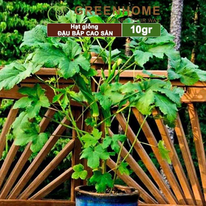 Hạt Giống Đậu Bắp Greenhome, Gói 10gr, Dễ Trồng Quanh Năm, Nảy Mầm Cao, Thu Hoạch Nhanh, Năng Suất Cao T06
