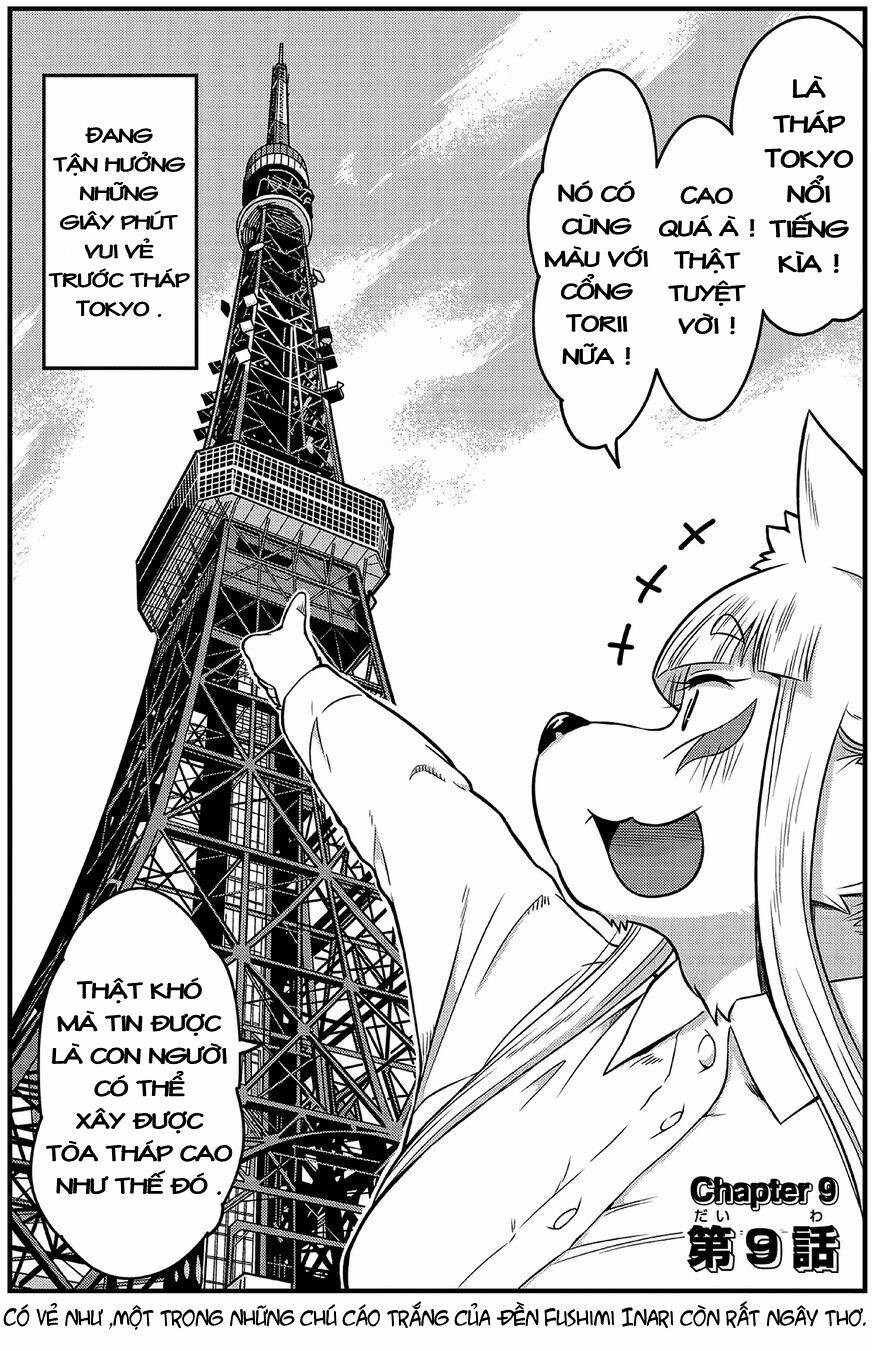 high school inari tamamo-chan ! chapter 9 3