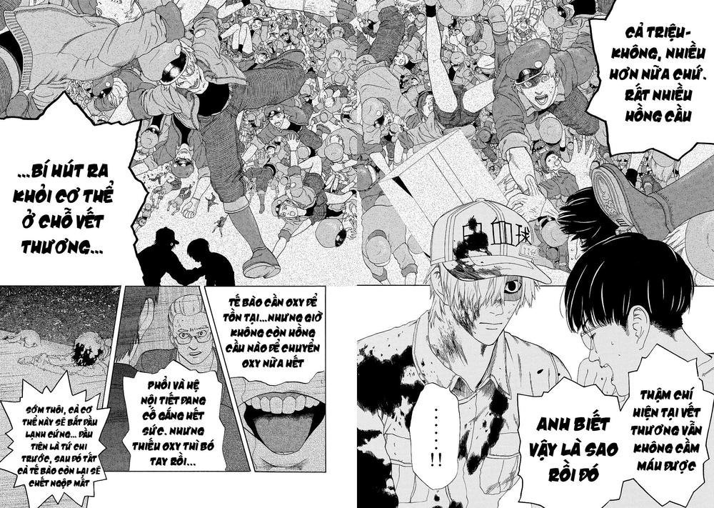 hataraku saibou! chapter 18 3