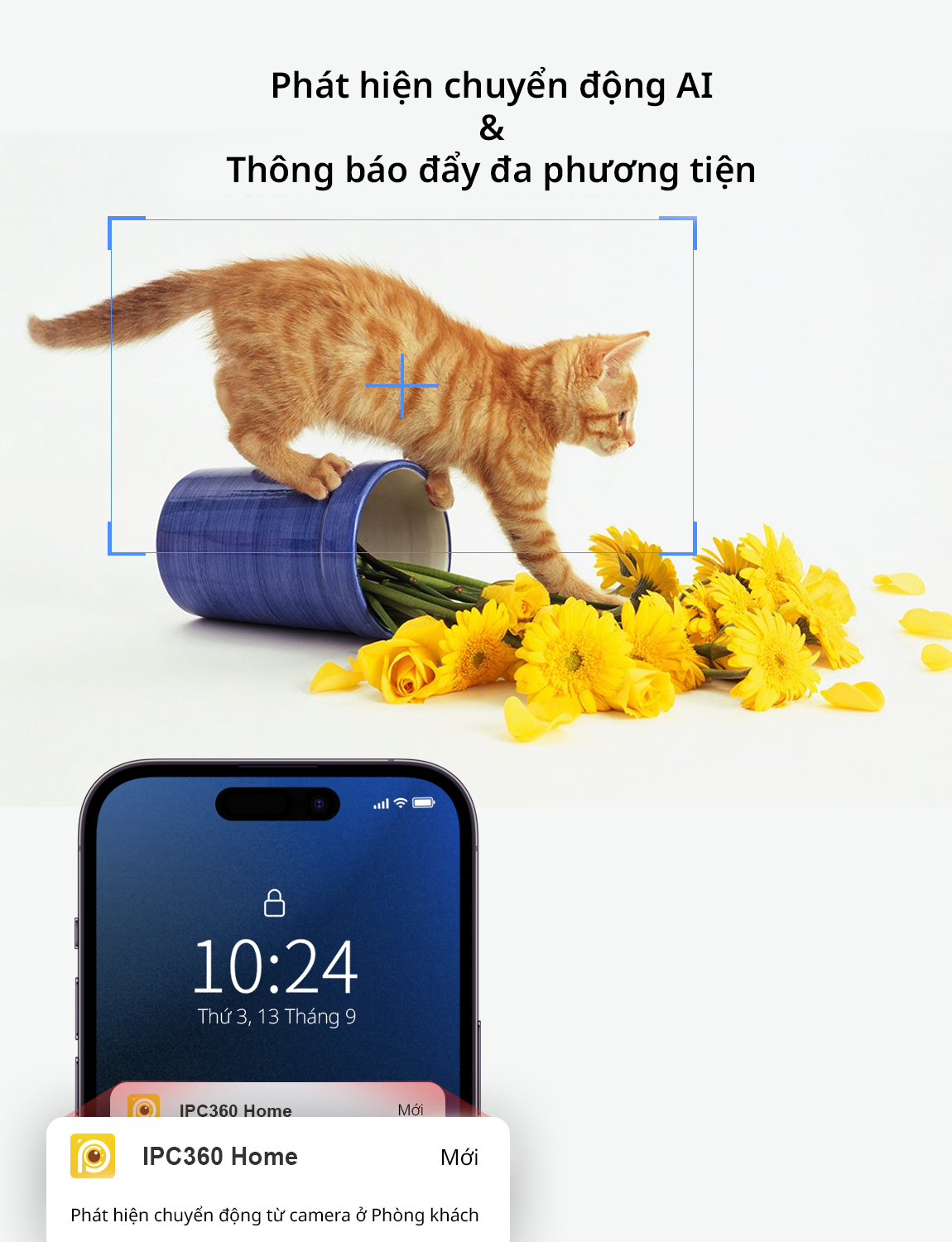 Camera Wifi IPC360 Home Minion, chất lượng video 1080p , xoay 360 độ
