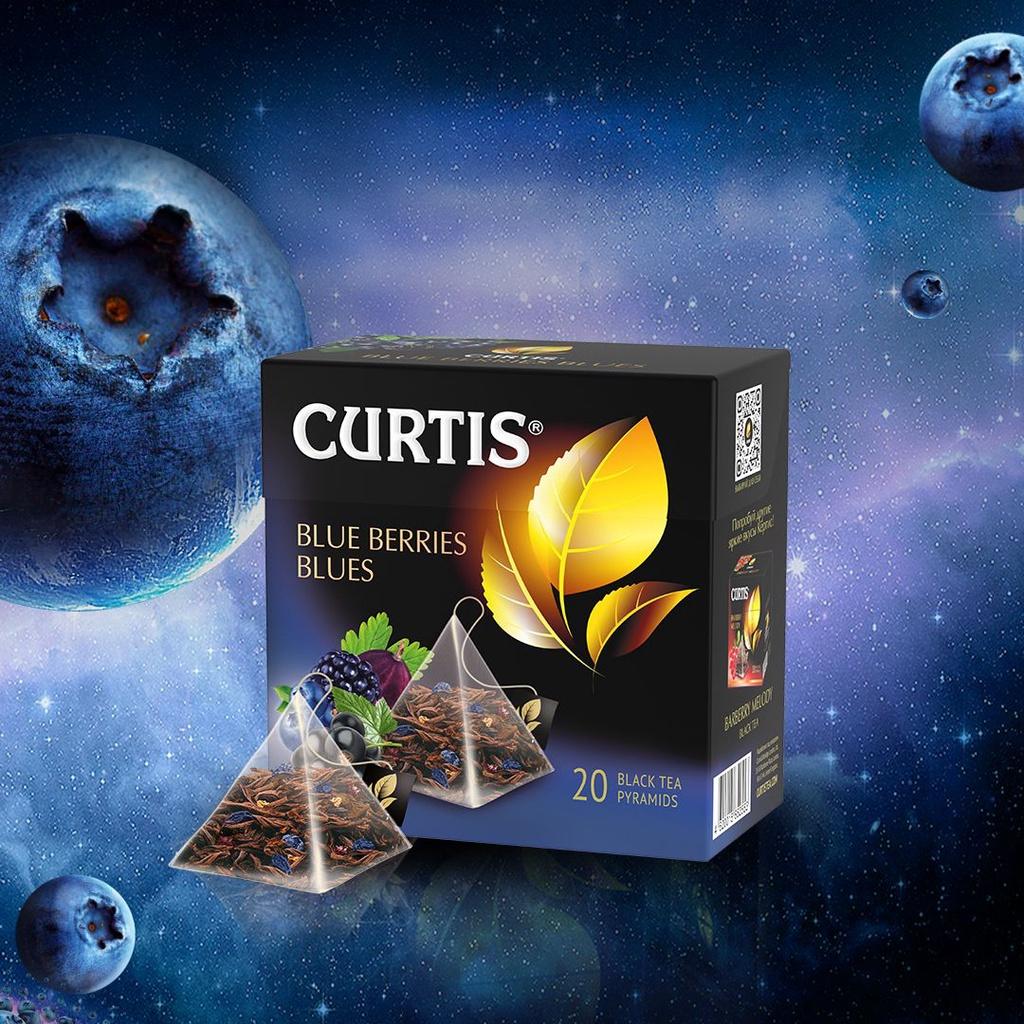 Trà Đen Túi Lọc Hiệu Curtis Hương Việt Quất, Lý Chua Đen – Tea Curtis Blue Berries Blues