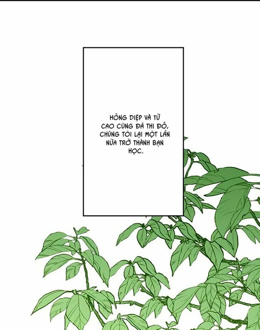 bài ca tình yêu chapter 8 44