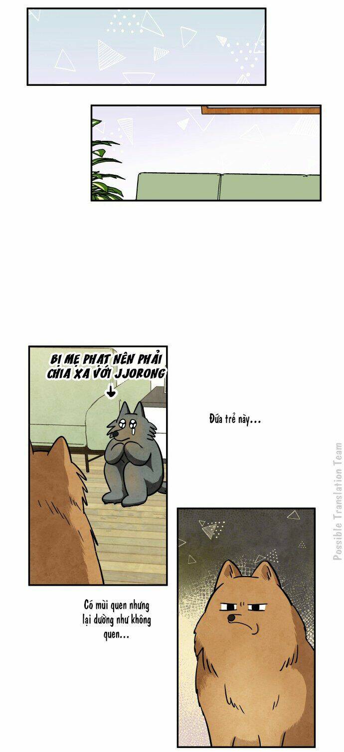 tai sói và mũ đỏ chapter 31 17