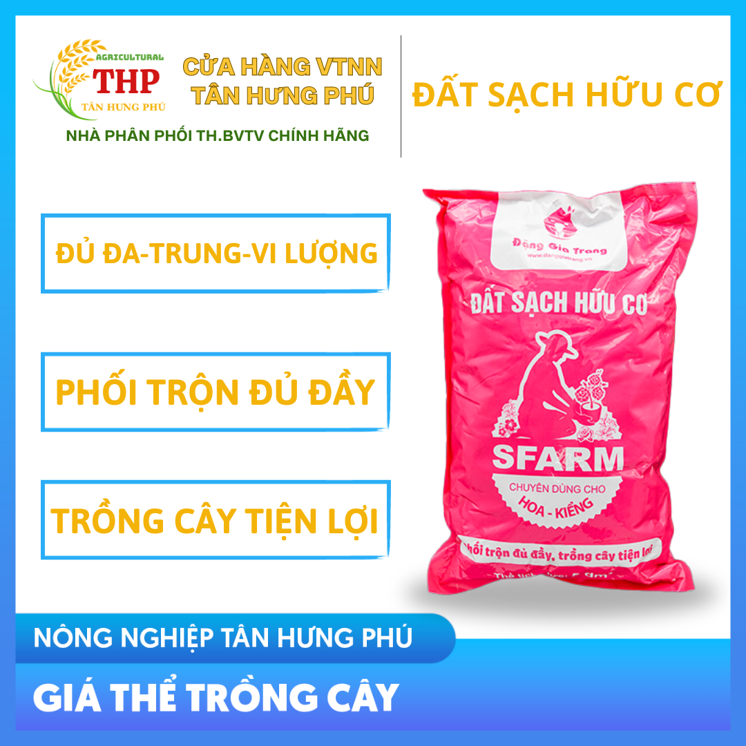 ĐẤT SẠCH HỮU CƠ Sfarm Trồng Rau Ăn Lá Giá Tốt Nhất
