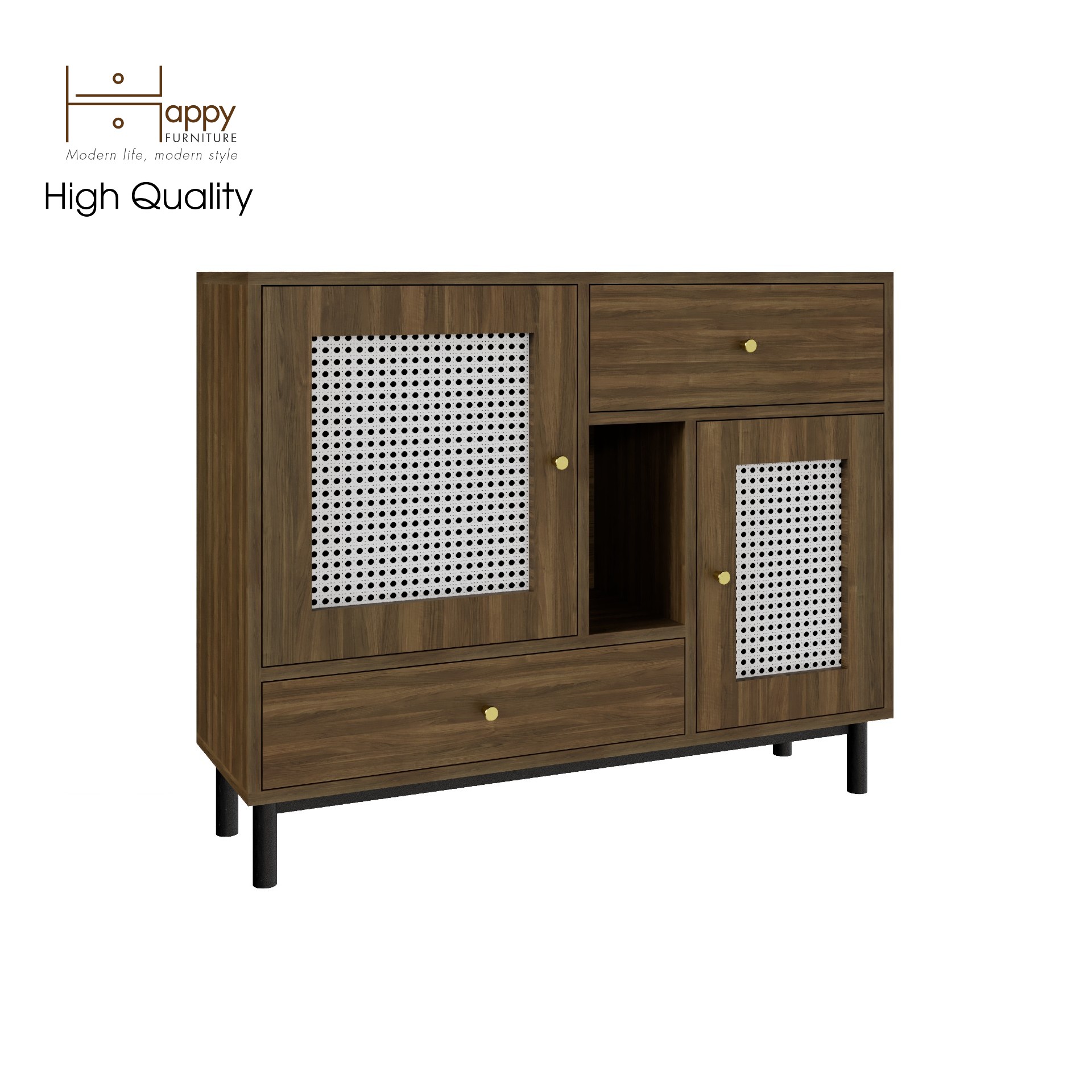 [Happy Home Furniture] ROTAN, Tủ lưu trữ 2 ngăn kéo 2 cửa mở - chân sắt, 100cm x 30cm x 80cm ( DxRxC), TCM_132