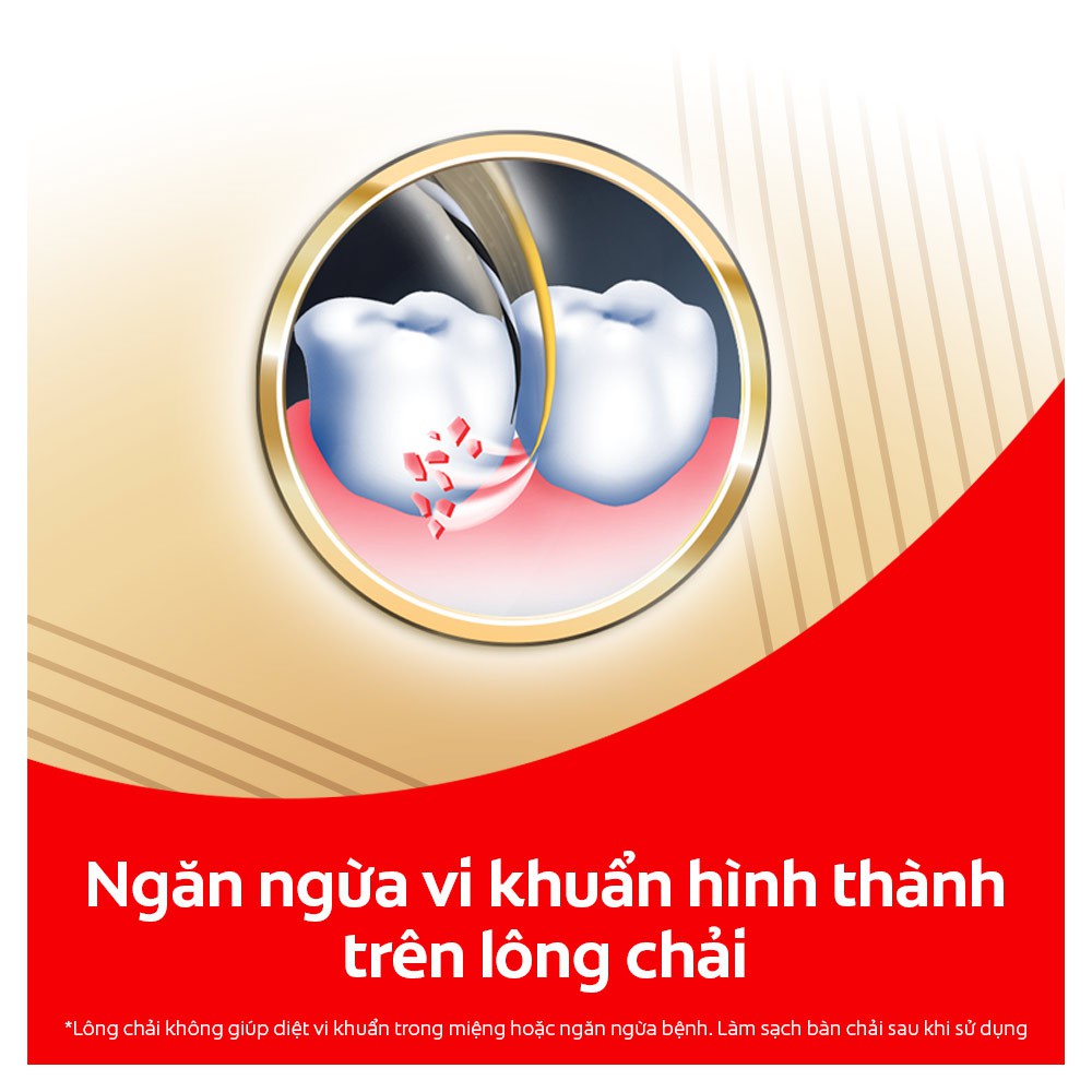 Bộ 8 Bàn chải Colgate Slimsoft Charcoal Gold kháng khuẩn than vàng