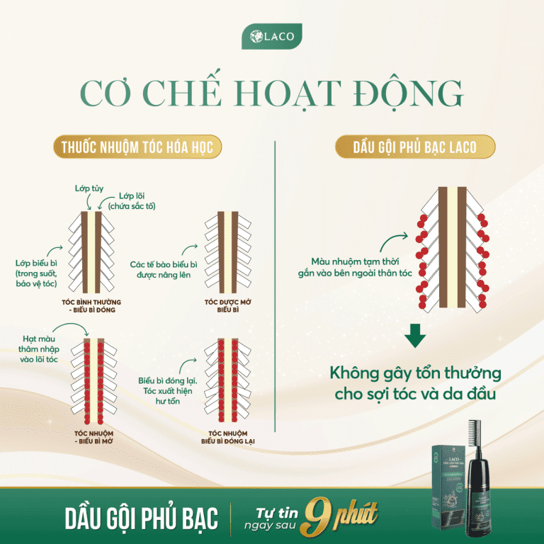 Dầu gội phủ bạc Tóc Đen tự nhiên Laco Black Hair chỉ sau 1 lần gội an toàn, không hại da đầu, không xót, không phai 200ml