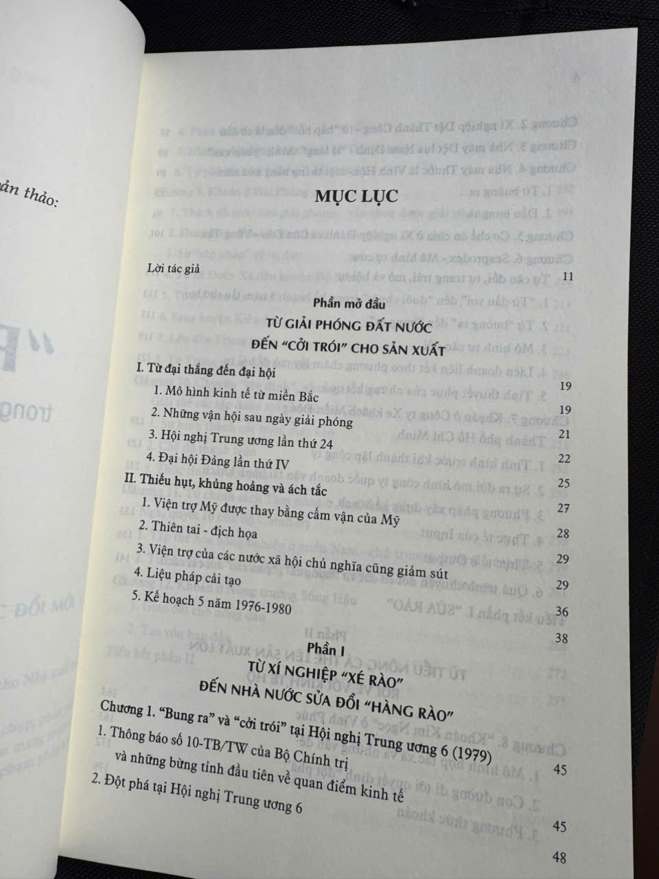 "PHÁ RÀO" TRONG KINH TẾ VÀO ĐÊM TRƯỚC ĐỔI MỚI – Đặng Phong – Omega Plus